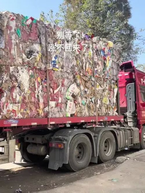 廢紙行情與煤炭制品銷售分析 造紙廠貨源充足與市場(chǎng)機(jī)遇探討